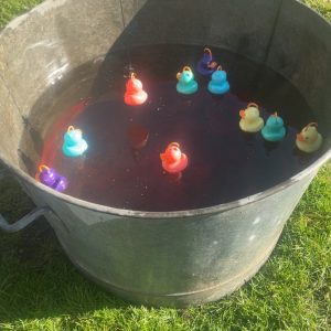 LOCATION Pêche aux canards + bassine en zinc